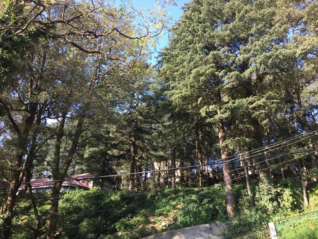 Dingle House , A Heritage House Dalhousie Luaran gambar